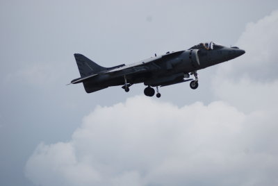 Harrier2.jpg