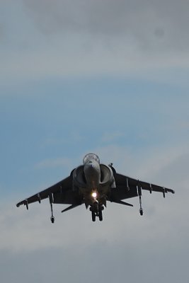 Harrier4.jpg