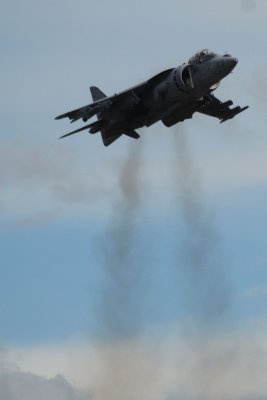 Harrier going up.jpg