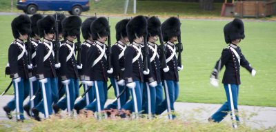 _MG_0152133.jpg