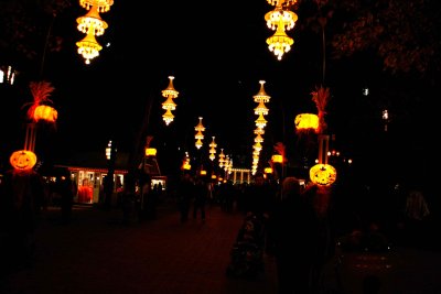 _MG_0304274.jpg