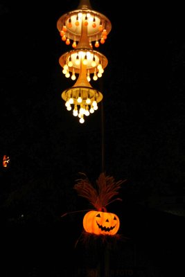 _MG_0312281.jpg