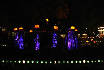 _MG_0328295.jpg