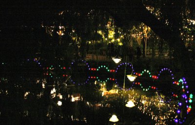 _MG_0364325.jpg