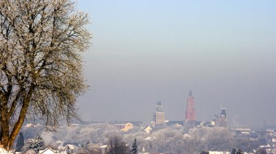 _MG_2155215.jpg