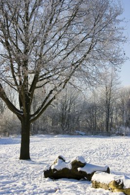 _MG_2161220.jpg