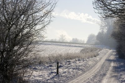 _MG_2163222.jpg