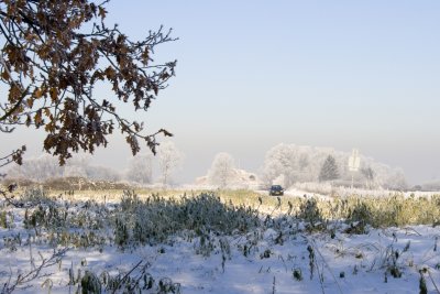 _MG_2165223.jpg