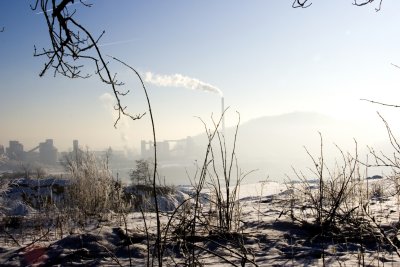 _MG_2176238.jpg