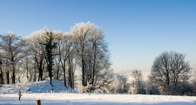 _MG_2180242.jpg