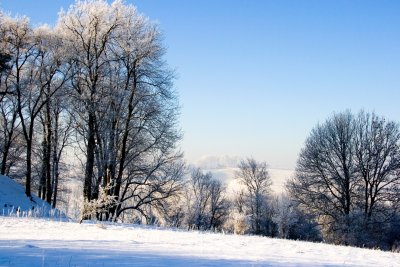 _MG_2181243.jpg