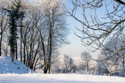 _MG_2182244.jpg