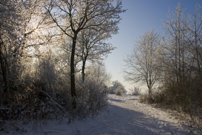 _MG_2187249.jpg