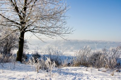 _MG_2191253.jpg