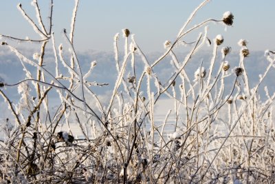 _MG_2192254.jpg