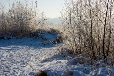 _MG_2195257.jpg