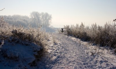 _MG_2196258.jpg