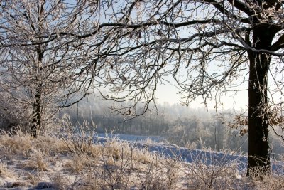 _MG_2200262.jpg
