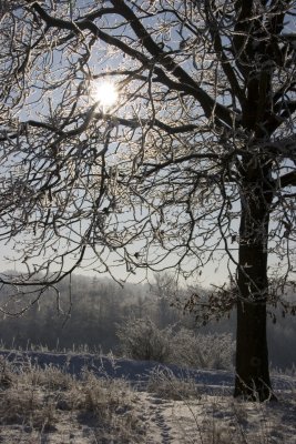 _MG_2202264.jpg