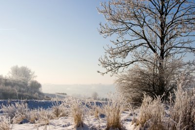 _MG_2204267.jpg