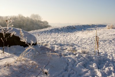 _MG_2206269.jpg