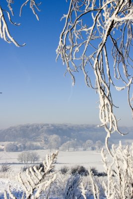_MG_2208271.jpg