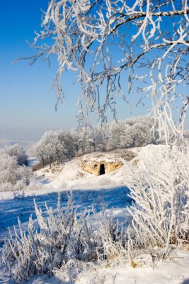 _MG_2209272.jpg