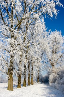 _MG_2213276.jpg