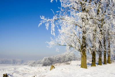 _MG_2214277.jpg