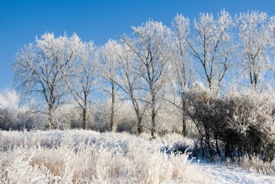 _MG_2223286.jpg