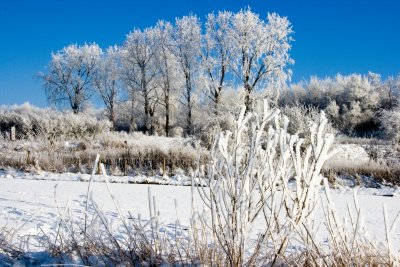 _MG_2224287.jpg