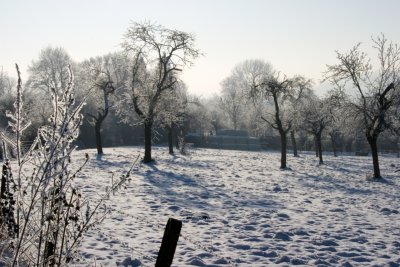 _MG_2227290.jpg