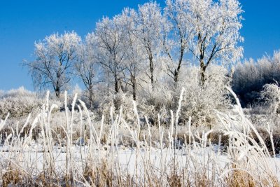 _MG_2228291.jpg