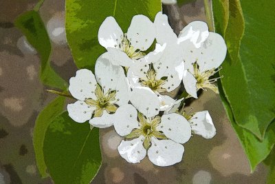 _mg_4225p33.jpg