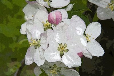 _MG_4240p58.jpg