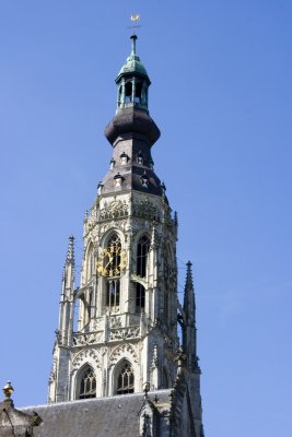 _MG_463639.jpg