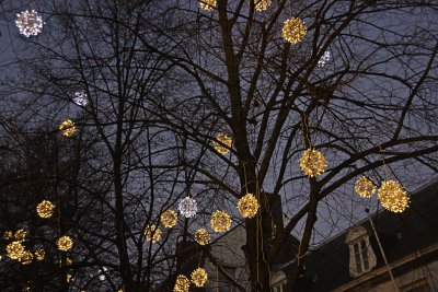 _MG_3760.jpg