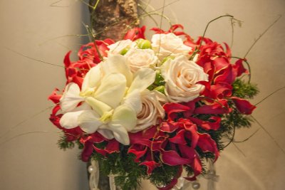 _MG_8411.jpg