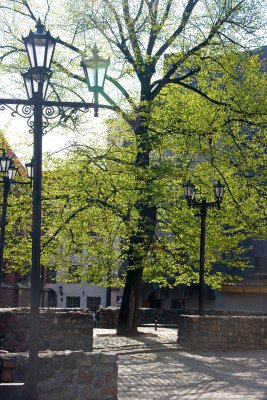 _MG_494774.jpg