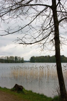 _MG_48052.jpg