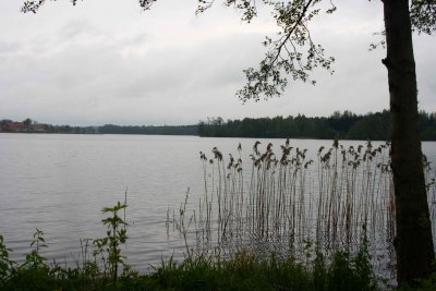 _MG_475011.jpg