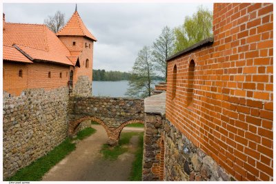 _MG_4793kopie52.jpg