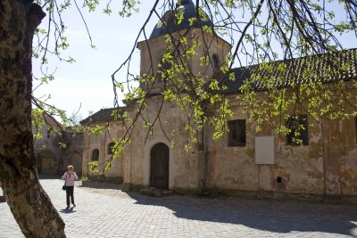 _MG_464461.jpg