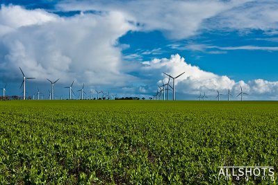 Wattle-Point-Windfarm-Landscape-#2.jpg