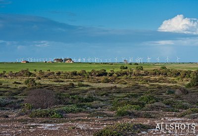 Wattle-Point-Windfarm-Landscape.jpg
