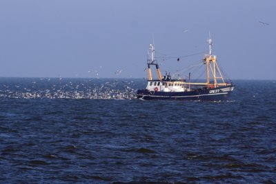 vissersboot / fishing boat 20061017021