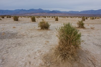 DeathValley 253.jpg