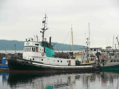 Tug Campbell River.jpg