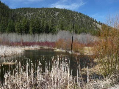 Layers of color Canoe Creek800.jpg