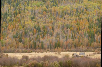 Hemp Creek hillside and barn10.jpg